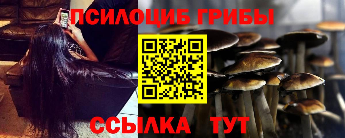 Галлюциногенные грибы Psilocybine cubensis  Псилоцибиновые грибы мицелий  Вход с VPN  магазин продажи   Волоколамск 